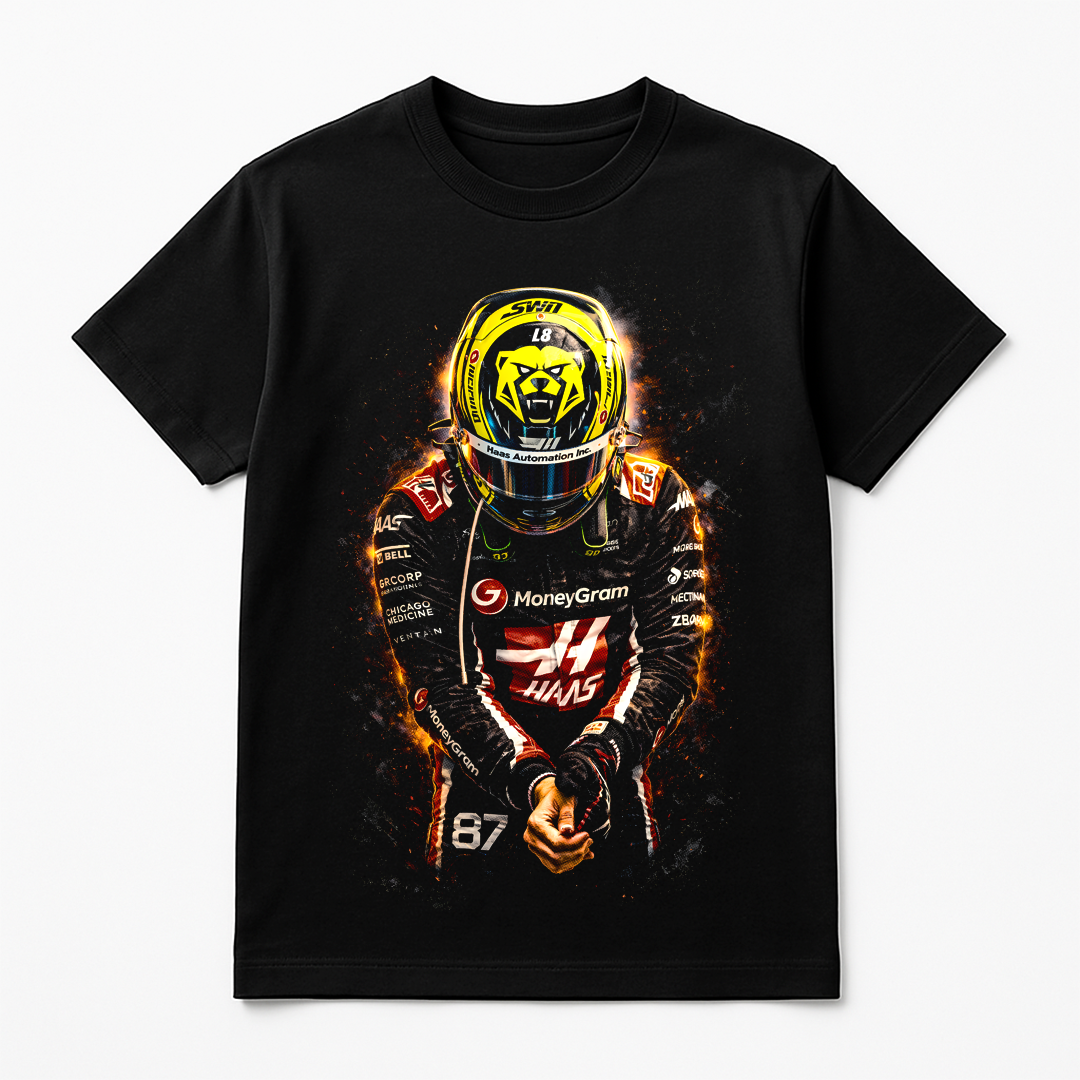 Formula 1 0038