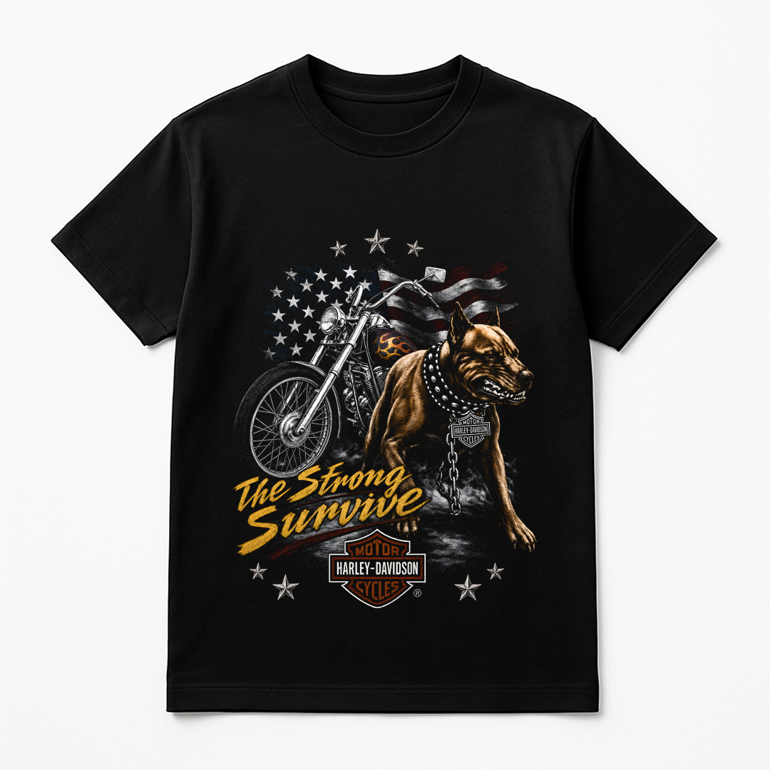 Harley Davidson 0006
